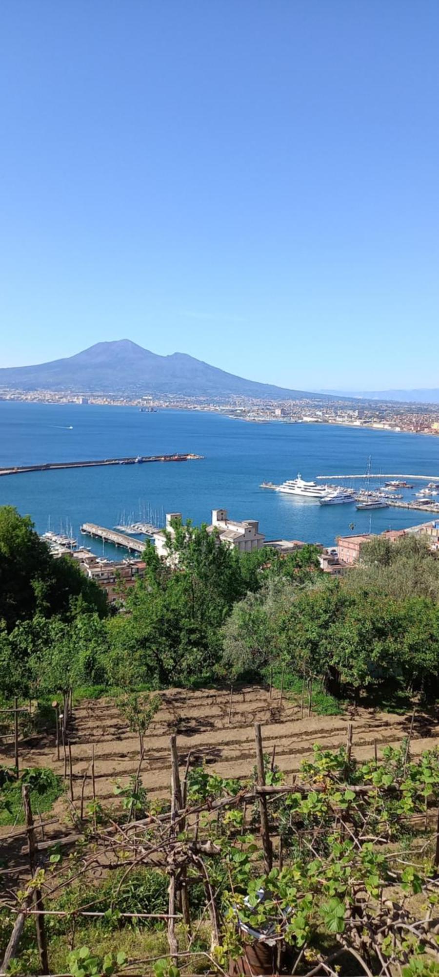 Emma Dimore Apartment Castellammare di Stabia Room photo